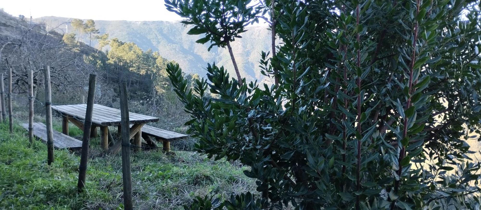 Casa Da Quelha Pensionat Chas de Egua Exteriör bild